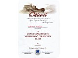 Horvth Ramna - Szavalverseny - Oklevl
